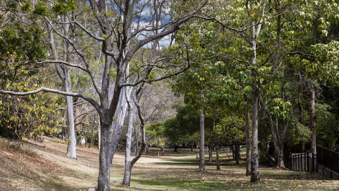 The shady gully between the backs of yards off of Northam