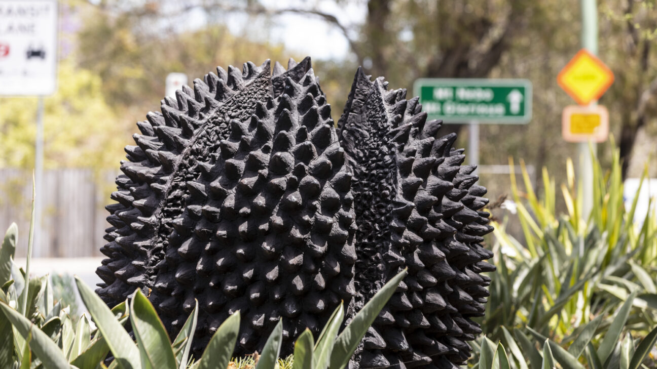 A sculptural installation by artist Cezary Stulgis entitled Crows Ash Pods, on Coopers Camp Road