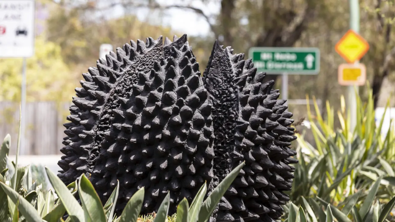 A sculptural installation by artist Cezary Stulgis entitled Crows Ash Pods, on Coopers Camp Road