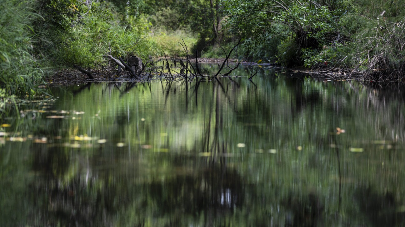 Enoggera Creek