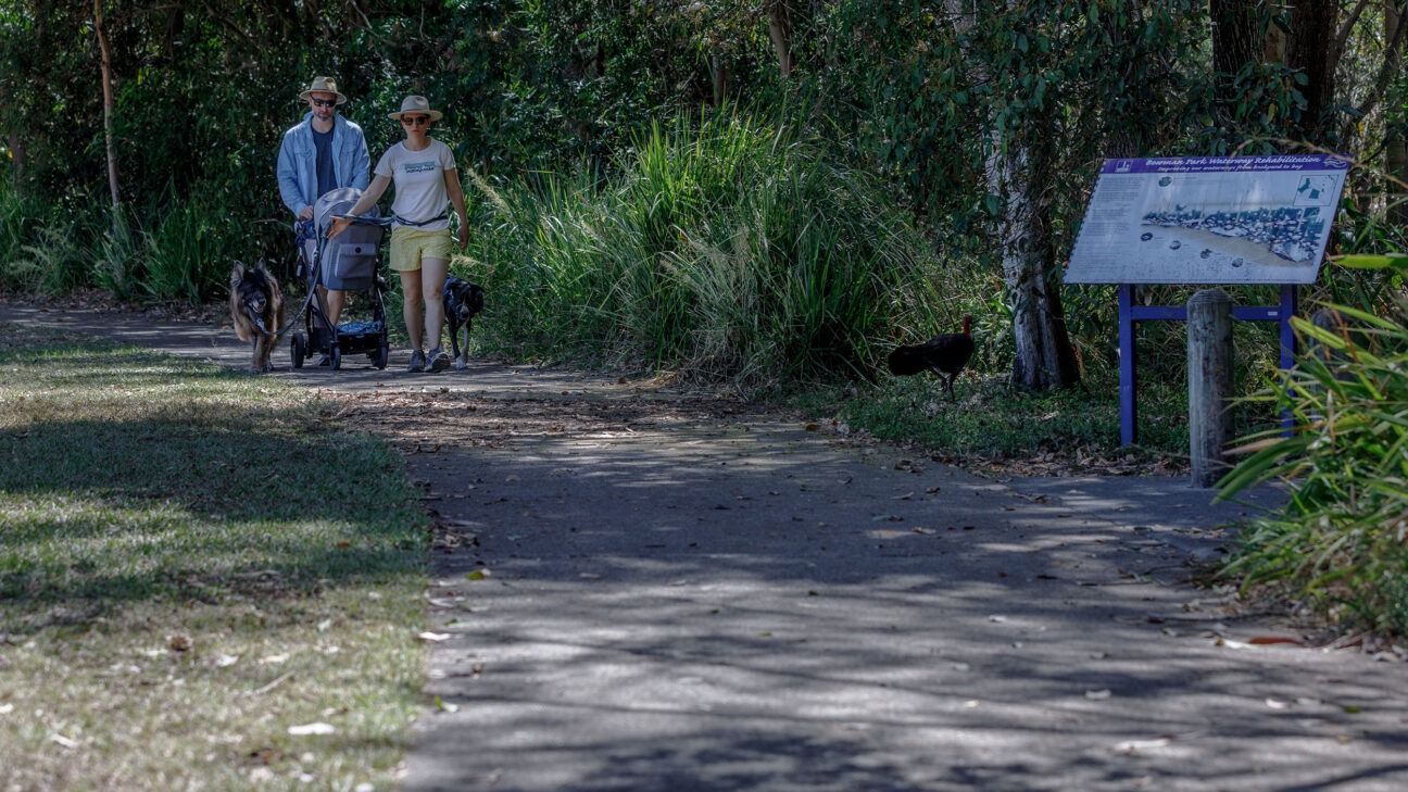 Bowman Park Storyboards
